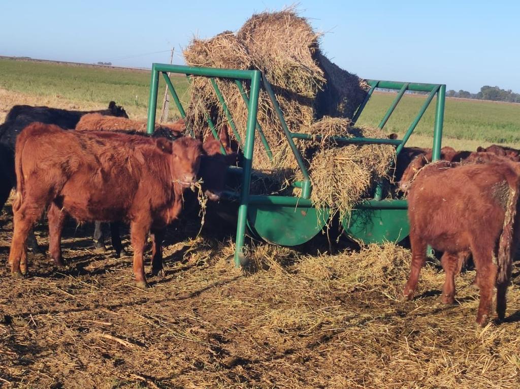 PORTA ROLLO CON COMEDERO