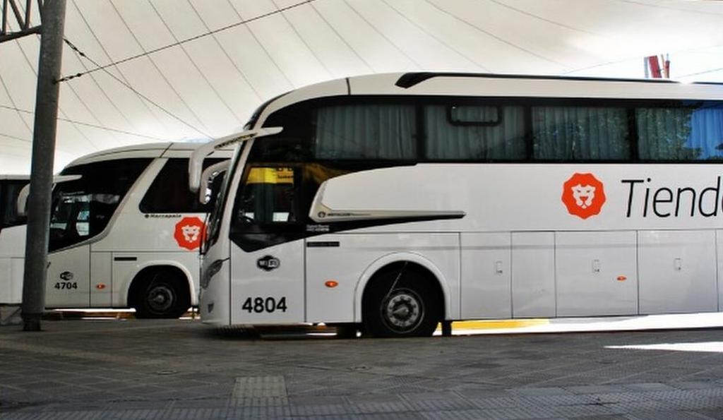 Bus Conexión EZE-AEP