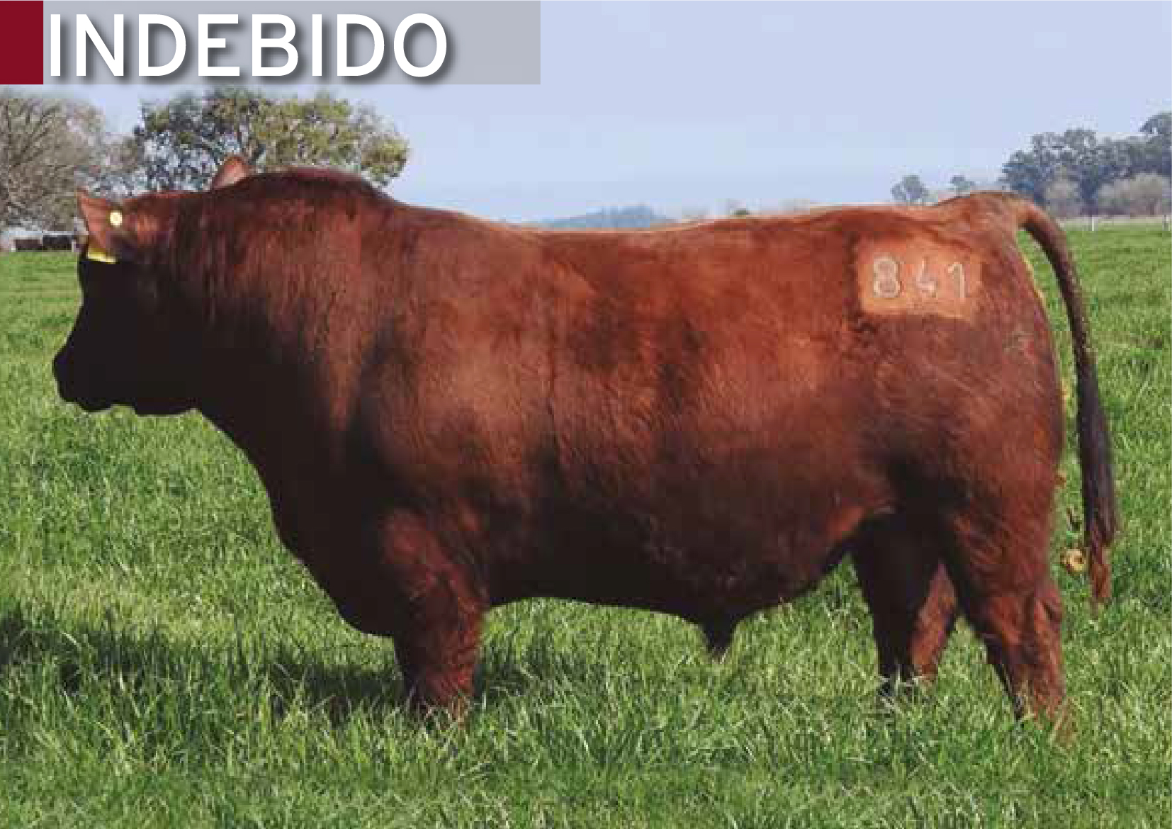 Producto