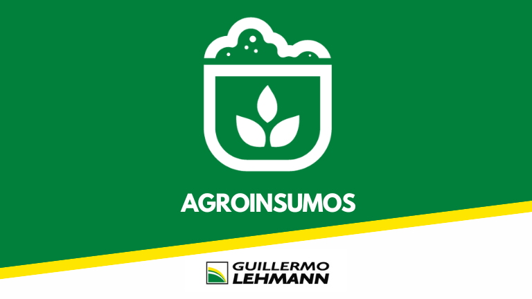 Servicios Tecnológicos