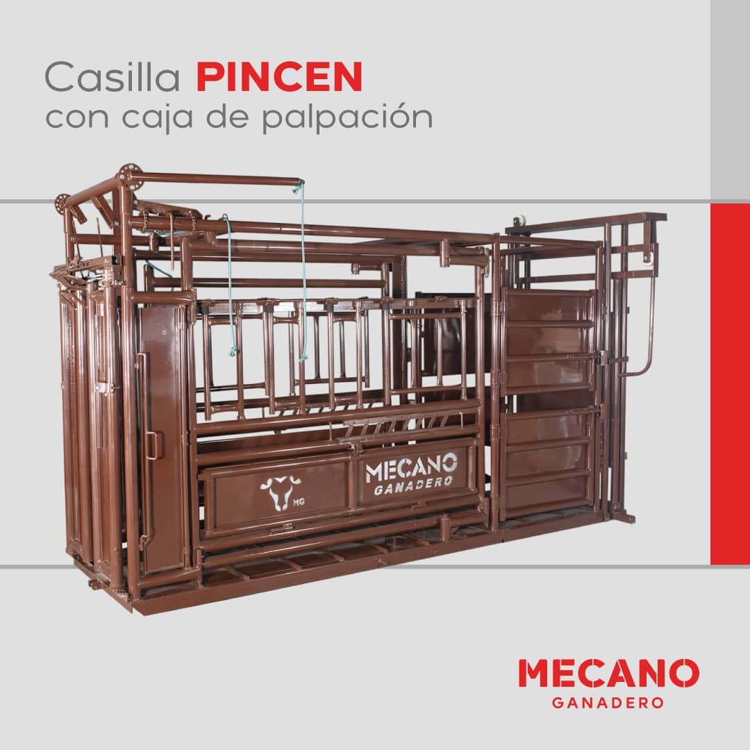Casilla Pincen