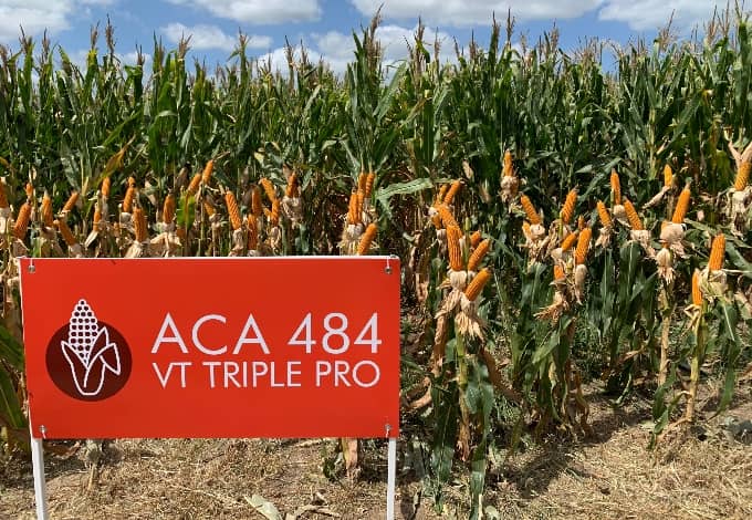 ACA 484 VT3PRO