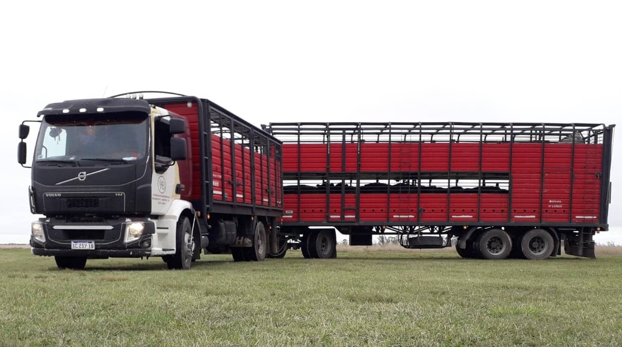 Transporte y Logística de hacienda