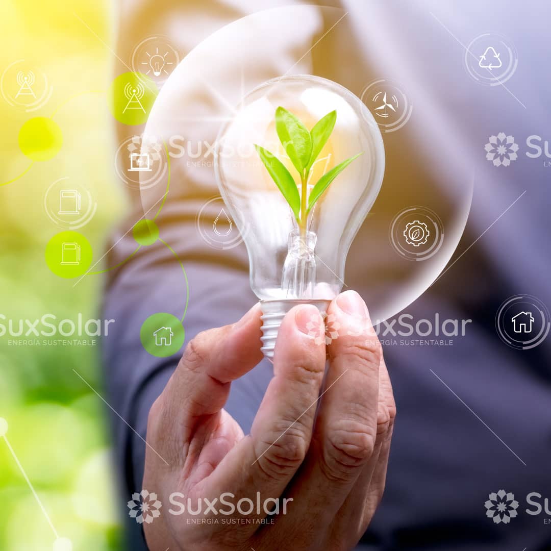 ESTUDIO DE EFICIENCIA ENERGETICA