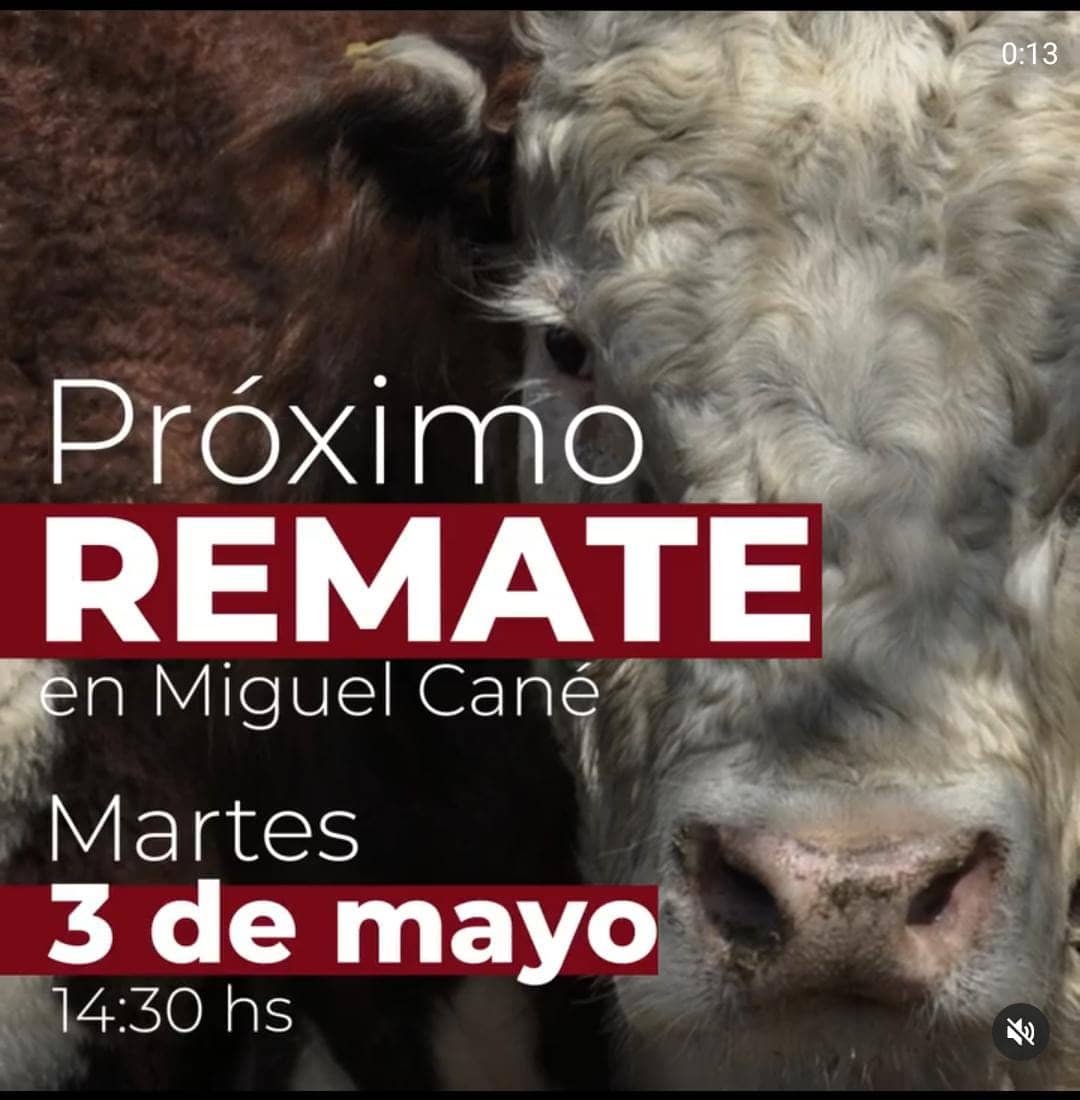 Remate en Miguel Cané