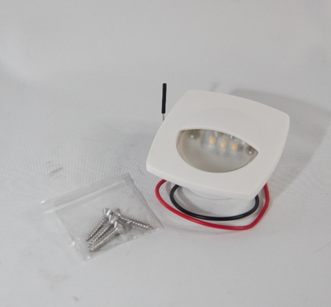 Luz