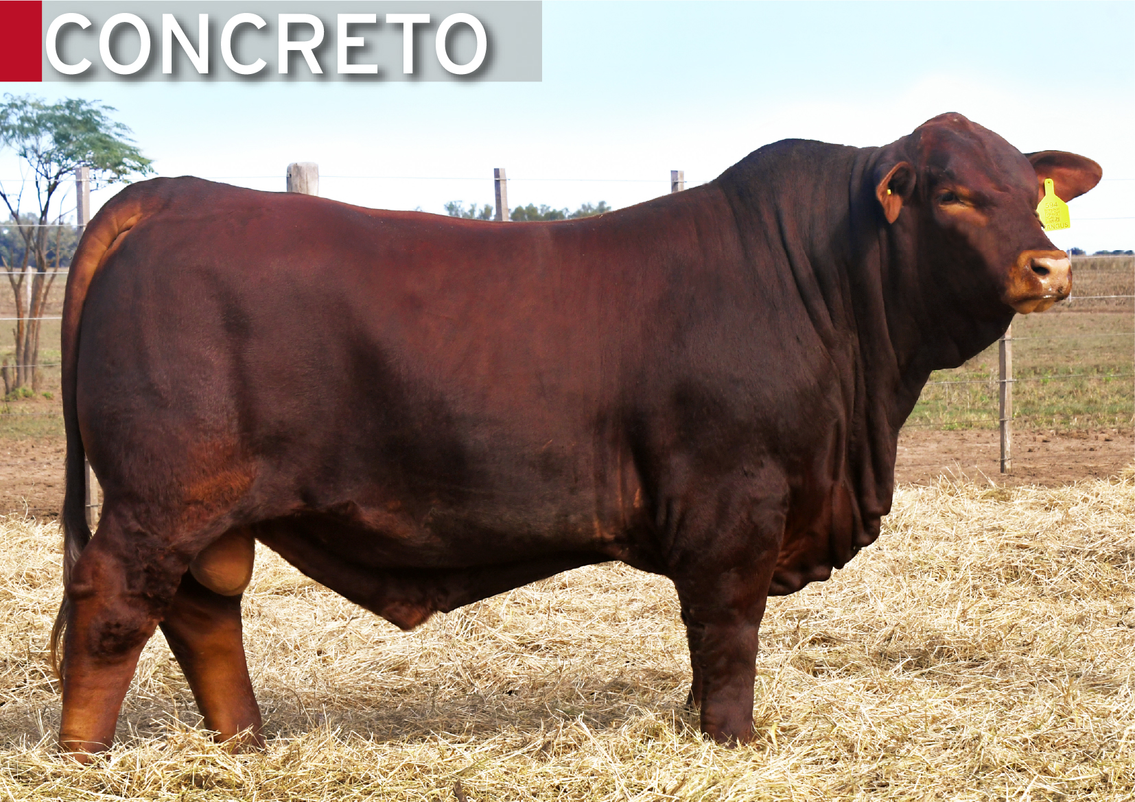 Producto