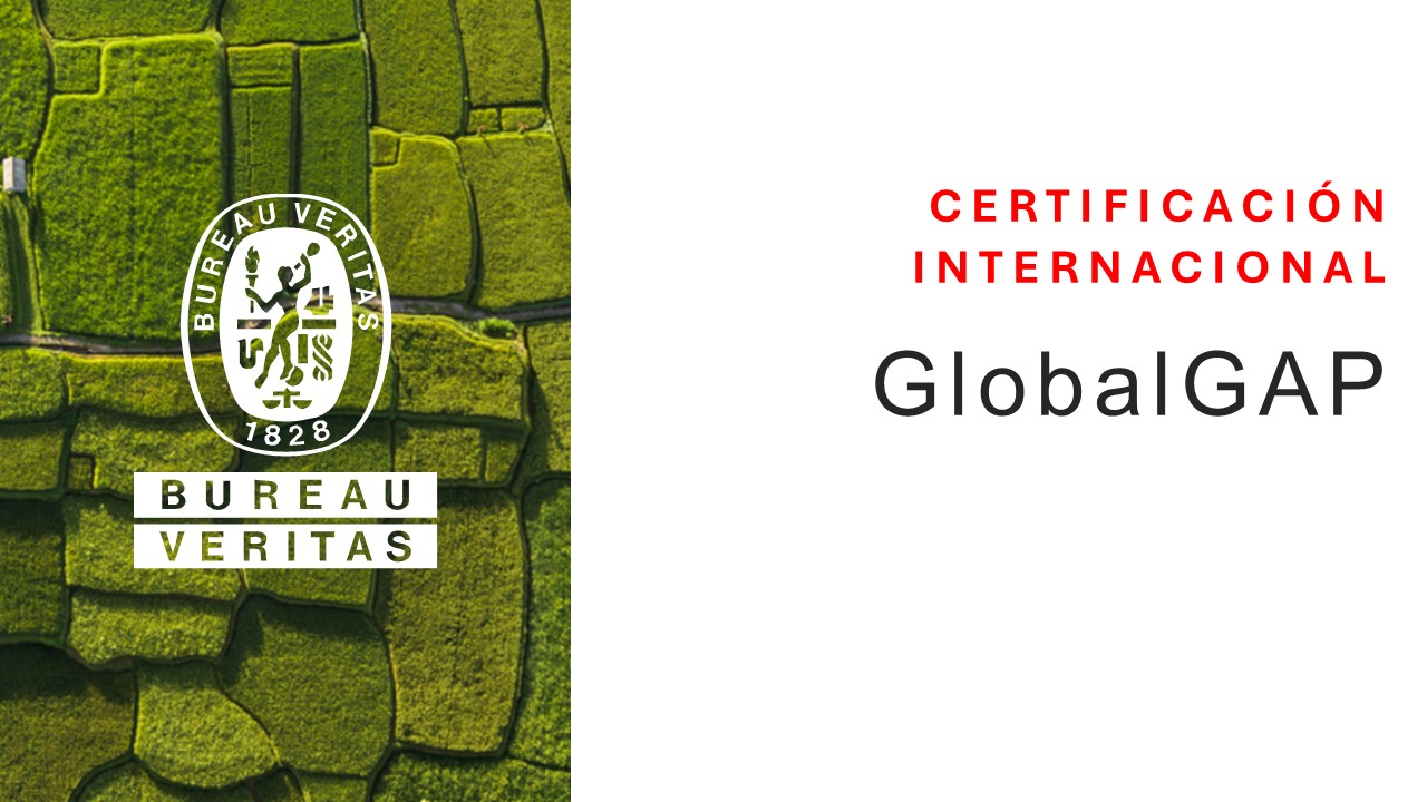 Certificación GlobalGAP