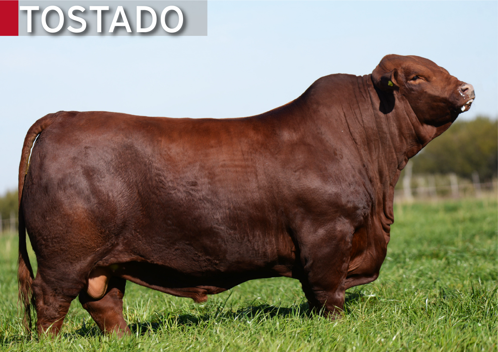 Producto