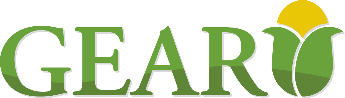 Logo de BNAConecta_311