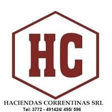 Logo de BNAConecta_1540