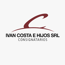 Logo de BNAConecta_478