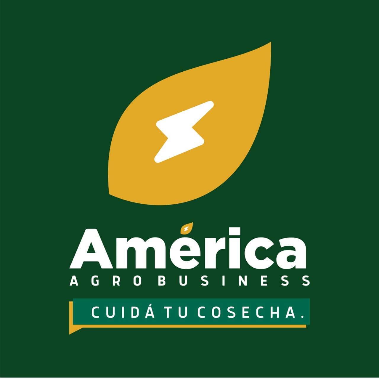 Logo de BNAConecta_201