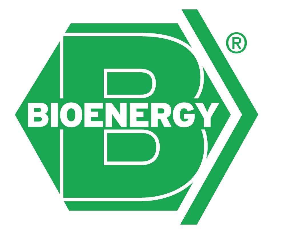 Logo de BNAConecta_1928