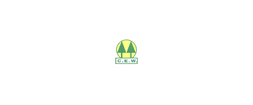 Logo de BNAConecta_1048