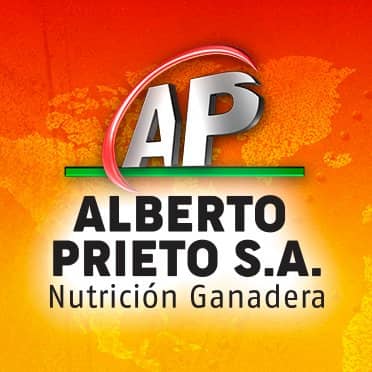Logo de BNAConecta_222
